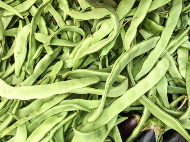 绿豆隔离图片下载