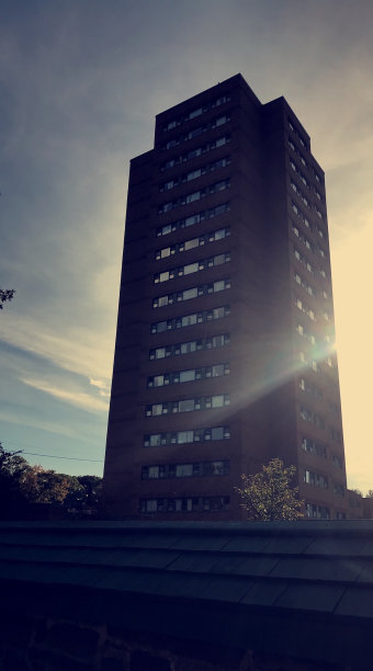 妨碍司法公正图片下载