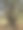 独特的树图片下载