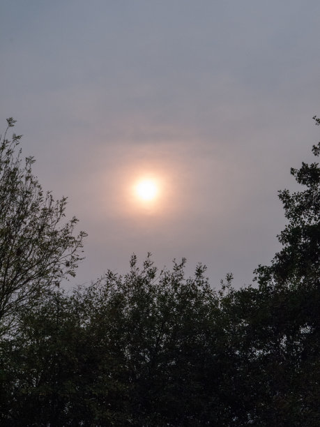 奇怪的天空太阳背后乌云天空树天际线图片下载