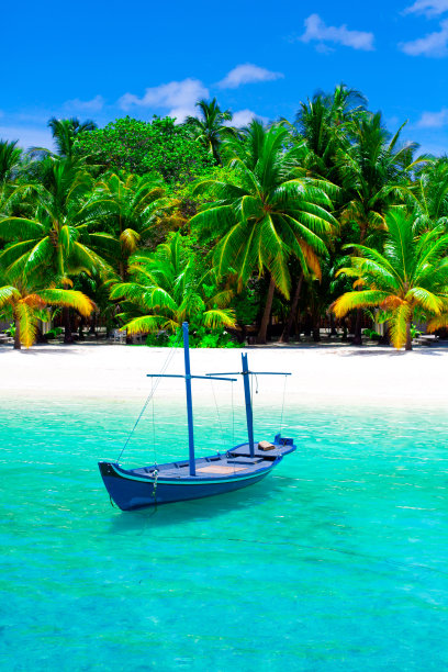 海滩图片素材ID：311316138