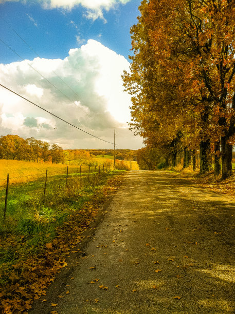 Autum。驱动图片下载