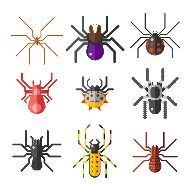 蜘蛛网剪影蜘蛛害怕图形平面可怕的动物设计自然昆虫危险恐怖万圣节矢量图标图片下载