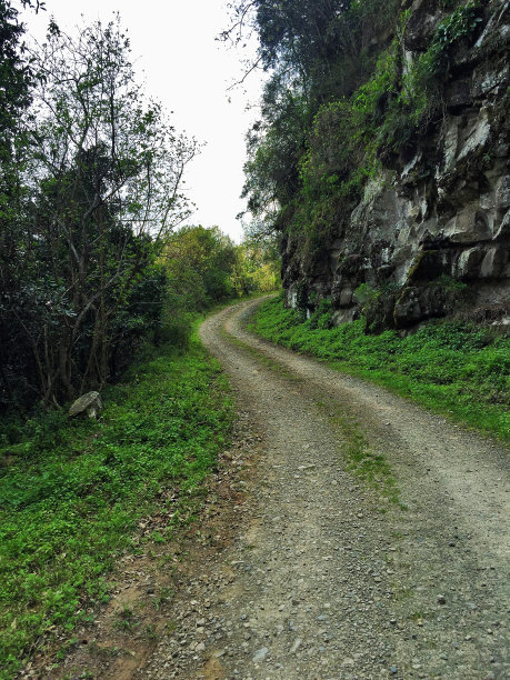 绿色之路图片下载