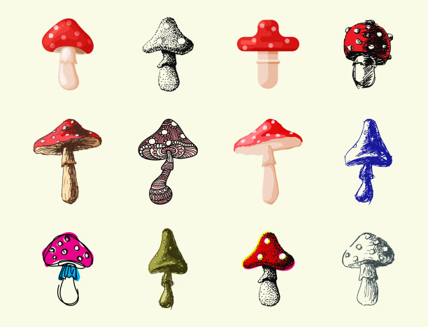 鹅膏蝇木耳伞菌不同艺术风格的蘑菇设计矢量插图红帽子素材图片