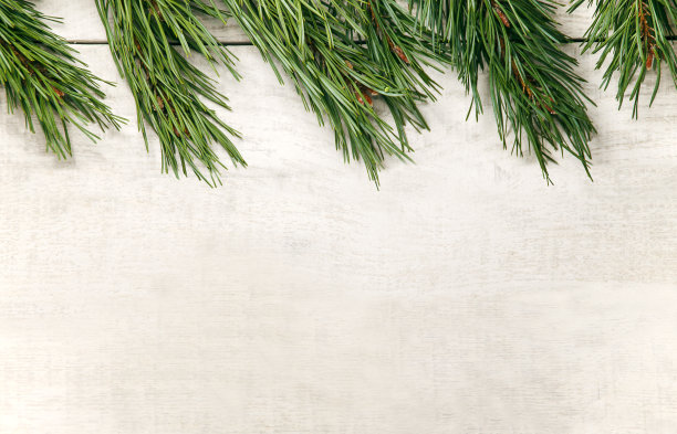 白色木制圣诞背景。边饰松树枝。乡村的设计。冬天的照片。带有拷贝空间的节日卡片图片下载