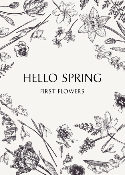 卡片上有春天的鲜花。图片下载