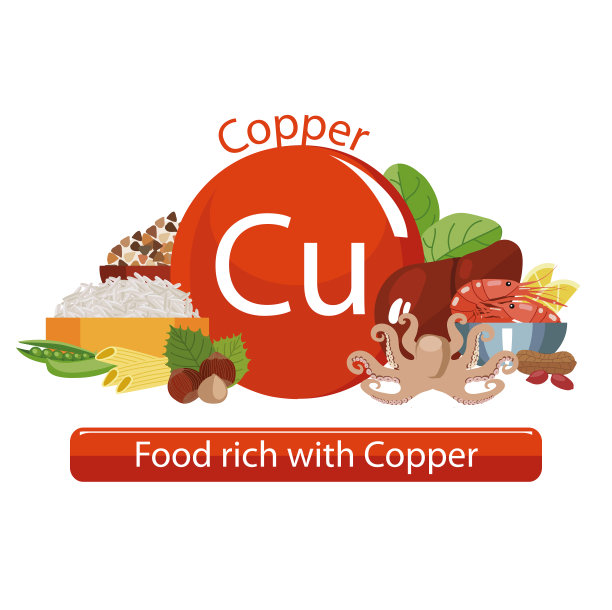 健康的食物图片下载