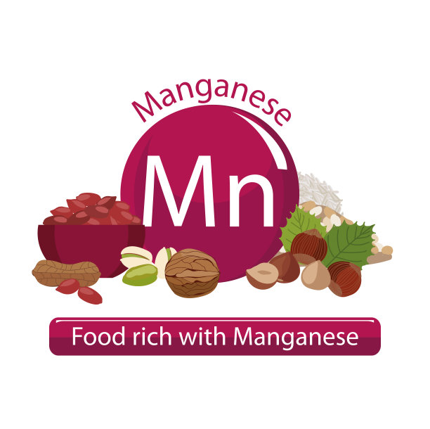 健康的食物图片下载