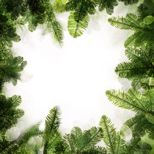 圣诞帧。绿色的圣诞节树枝的背景边界图片下载