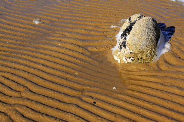 海边的海滩和礁石，特写照片图片下载