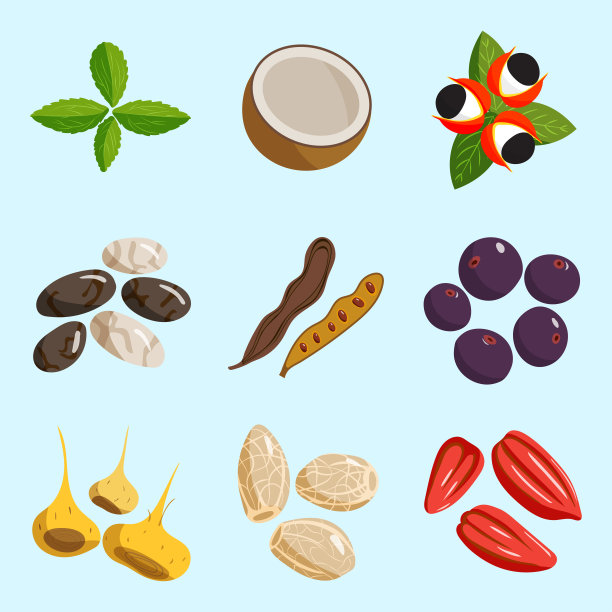 素食食品健康的蔬菜和水果餐厅菜肴卡通浆果向量图片下载