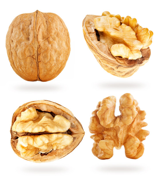 白色背景上的核桃部分图片下载