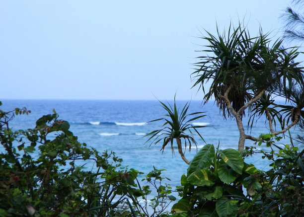 望着大海图片下载