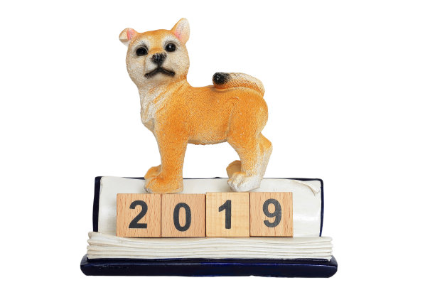 狗和2019图片下载