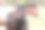 篱笆后的马(棕色)图片下载