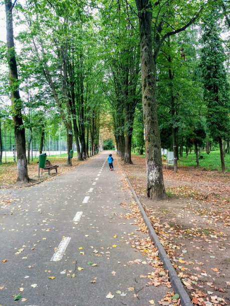 公园里的运动图片下载