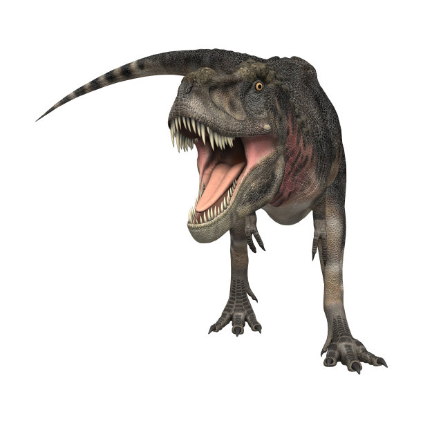 3D渲染恐龙tarbosaurus白色图片下载