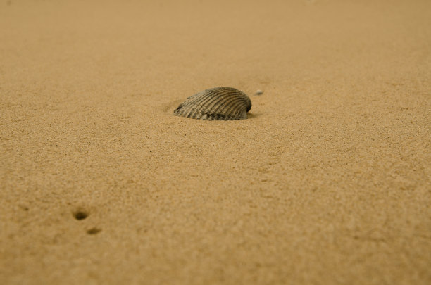 海滩照片图片下载