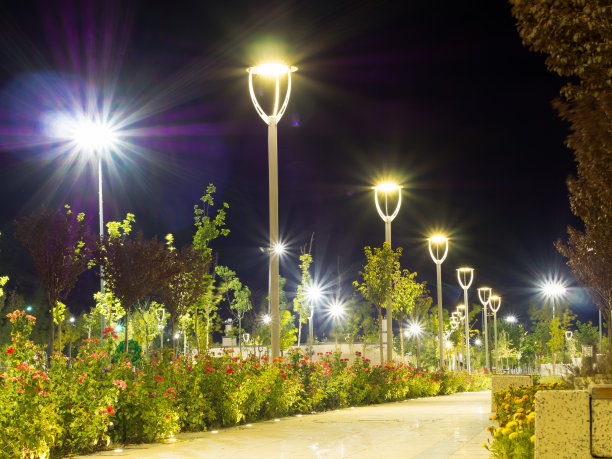 绿化照明步行公园图片下载