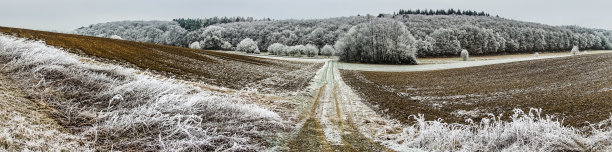 严寒的冬季景观图片下载