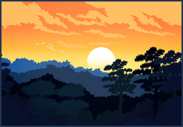 美丽的森林图片下载