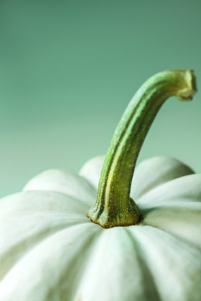 白南瓜特写图片下载