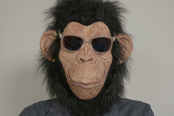 大猩猩的头图片下载