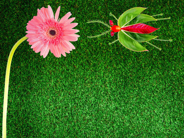 花卉创作概念艺术，以新鲜的绿草为背景，用花卉和飞虫制成的花园图片下载