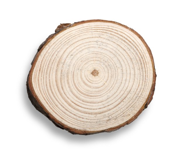 木头。图片下载