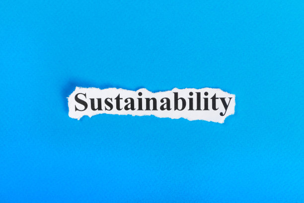 可持续发展的文字。撕纸上的“可持续发展”字样。概念的形象图片下载