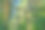 茂密的森林。一个令人费解的灌木丛。的背景图片。俄罗斯。夏天的一天图片下载