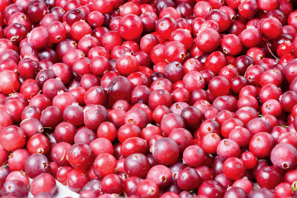 蔓越莓大框架图片下载