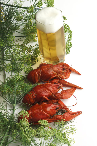 小茴香煮小龙虾图片下载