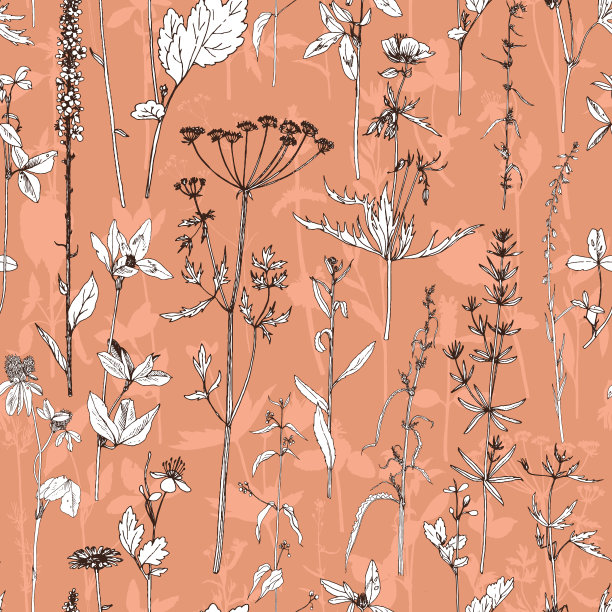 无缝图案与绘图草本和花卉图片下载