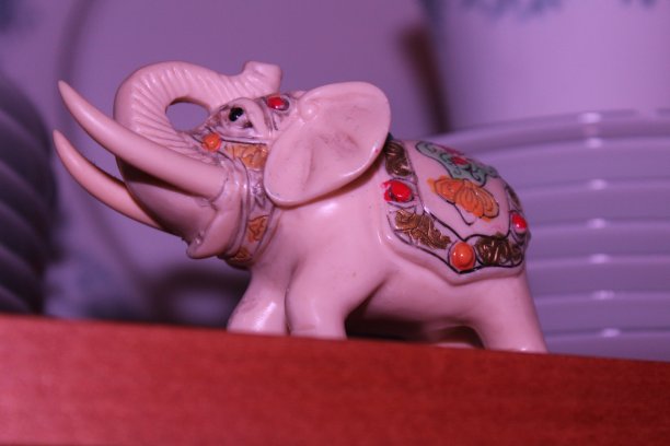 大象静物图片下载