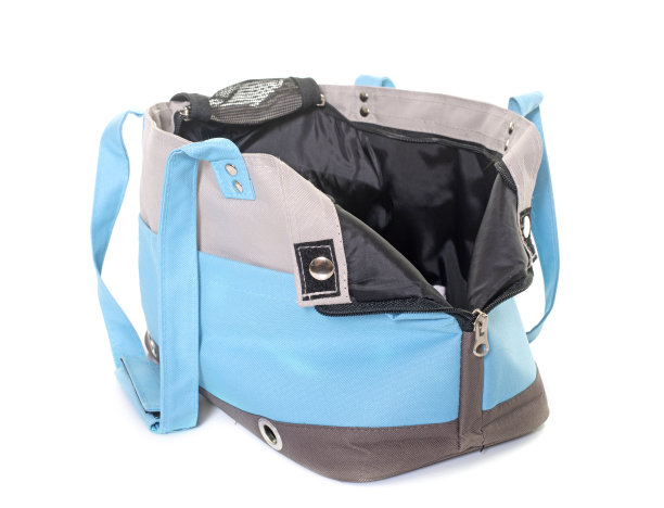 蓝色旅行袋的狗图片下载