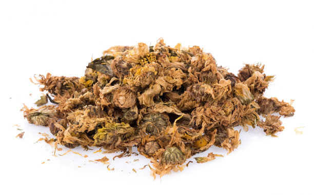 孤立在白色背景上的干菊花图片下载