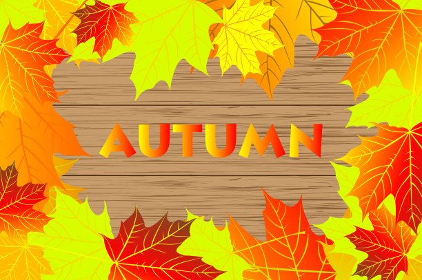 枫叶的秋叶图片下载