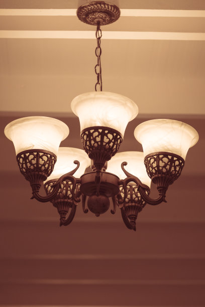 的照片图片下载