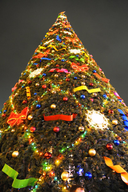 街上高高的圣诞树图片下载