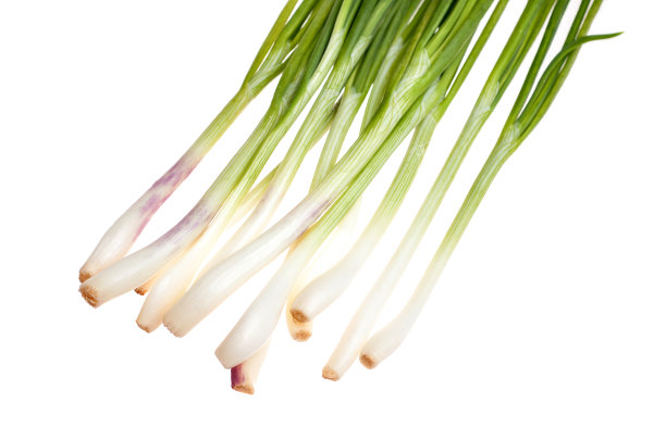新鲜的绿洋葱从花园，孤立在白色素材图片