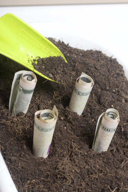 钱是放在花盆里从地里长出来的。纸币折在一个管子里，插在地里。有一种耕田的工具。图片下载