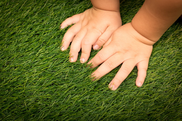 手中的宝贝。图片下载