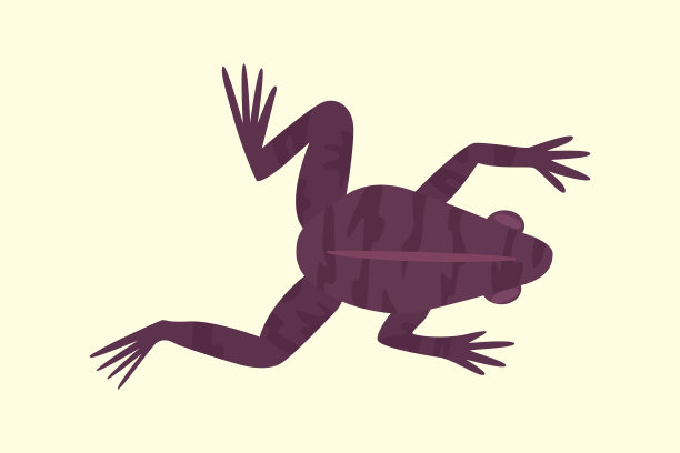 青蛙卡通矢量插图孤立。热带的动物图片下载