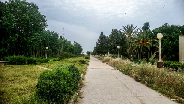 知识之路图片下载