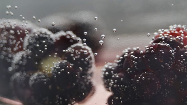 黑莓在水中图片下载