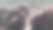 黑莓在水中图片下载