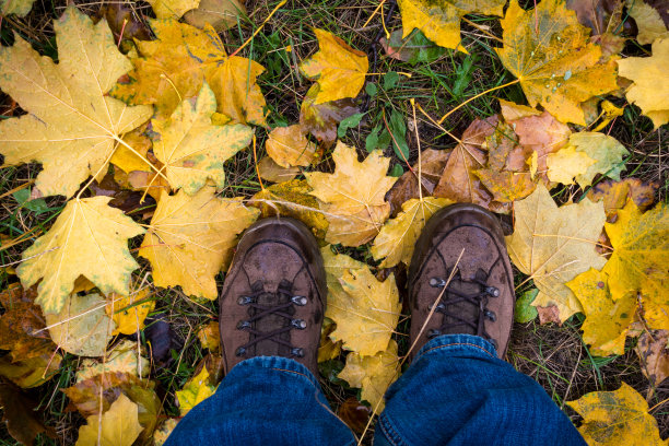 穿着靴子的腿站在草地上的黄叶上图片下载