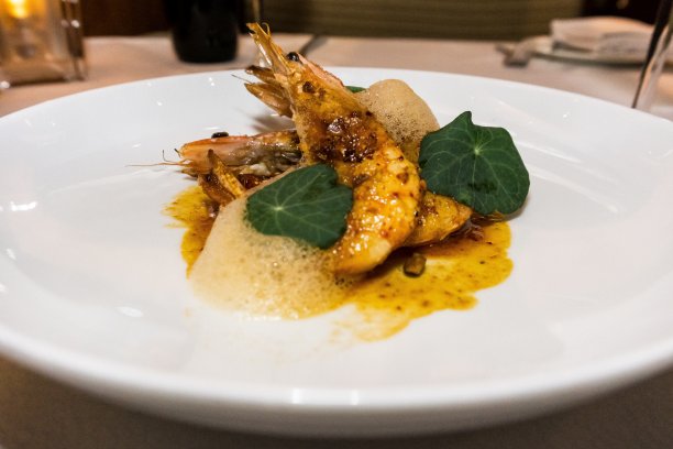 颓废的虾图片下载